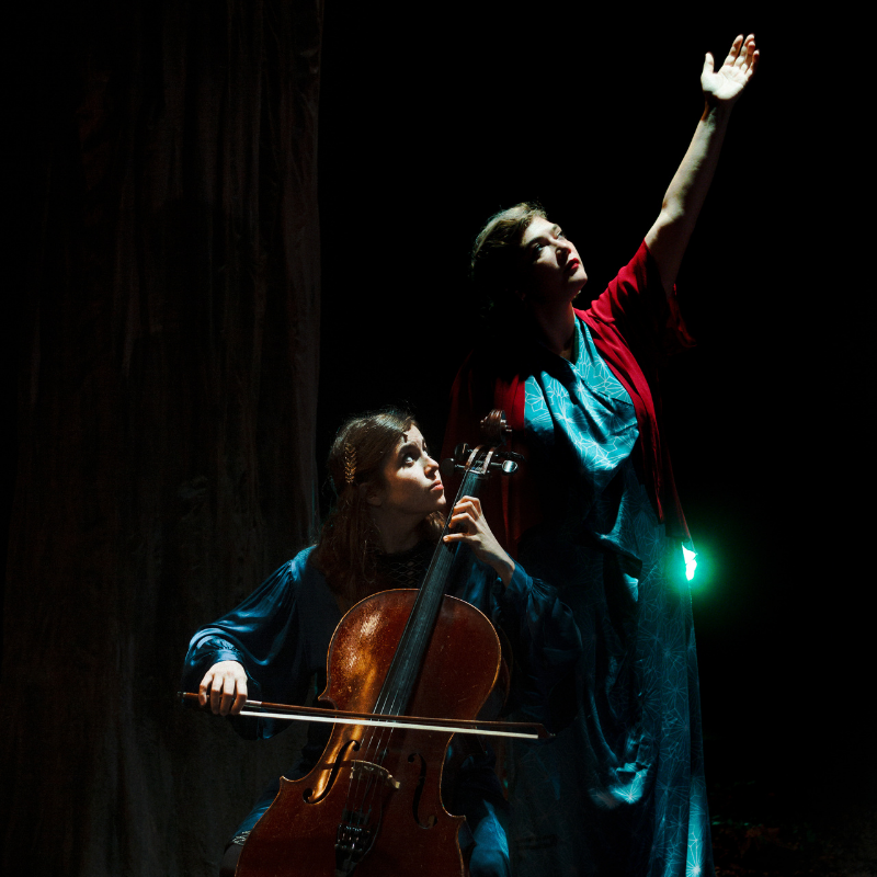 Rosemary Standley et Dom la Nena - Birds on a wire / COMPLET